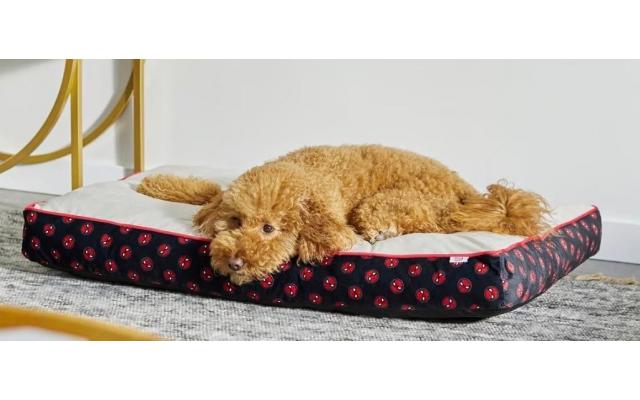 Chewy Spiderman Dog/Cat Pillow Bed